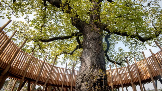 Playgrounds in London