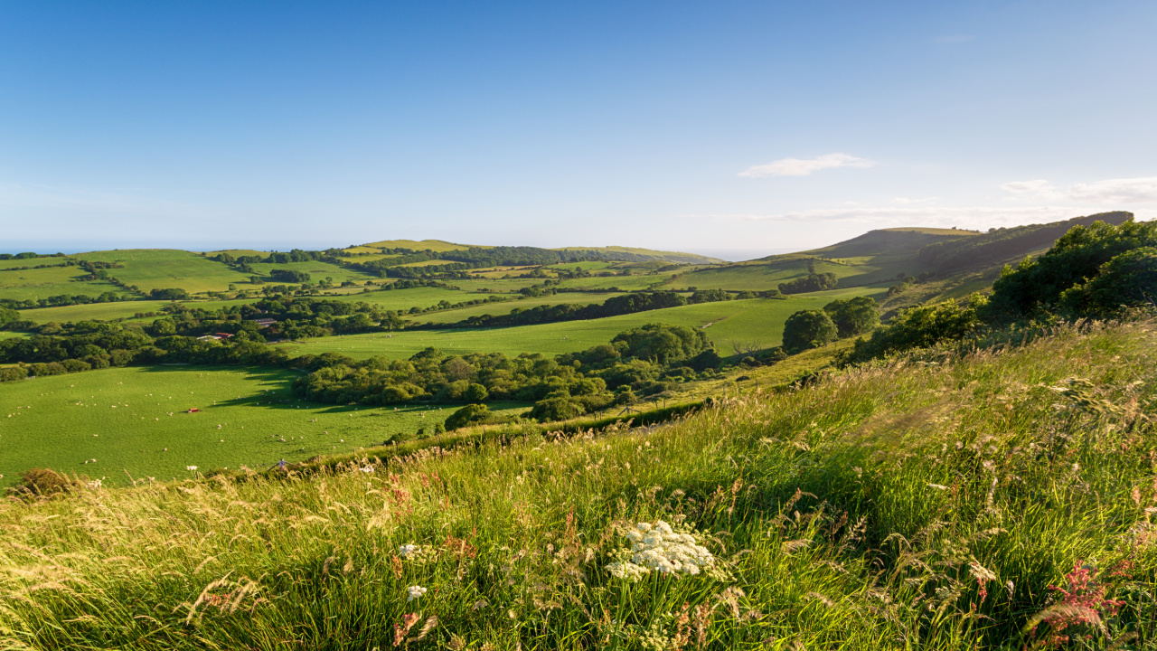 National Trust Dorset