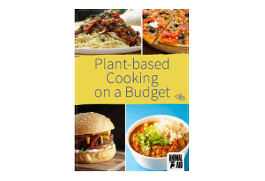 Free Plant-based Cooking On A Budget Booklet